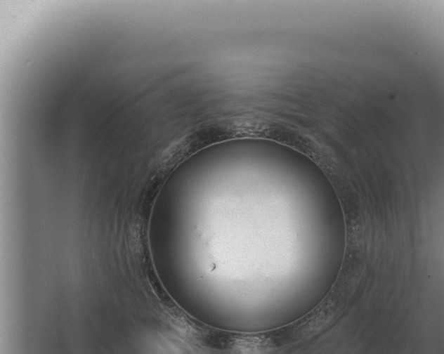 X0000068310757200604281735