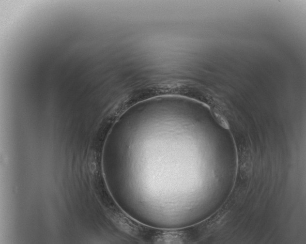 X0000068310758200604281735