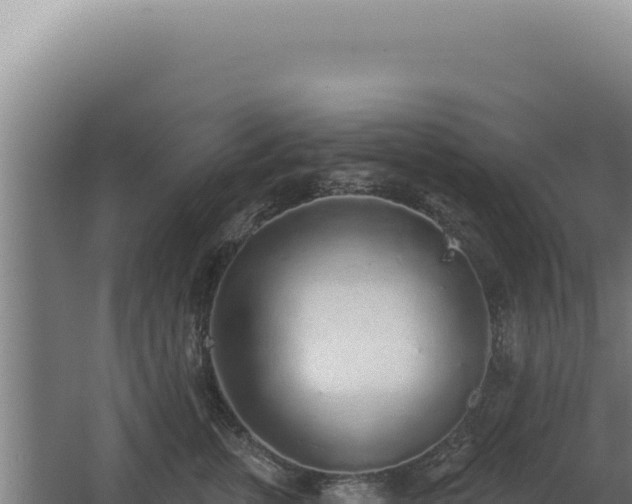 X0000068310759200604281735