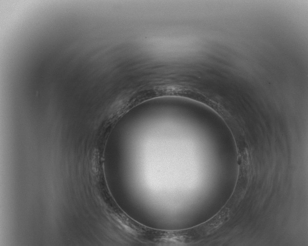 X0000068310760200604281735