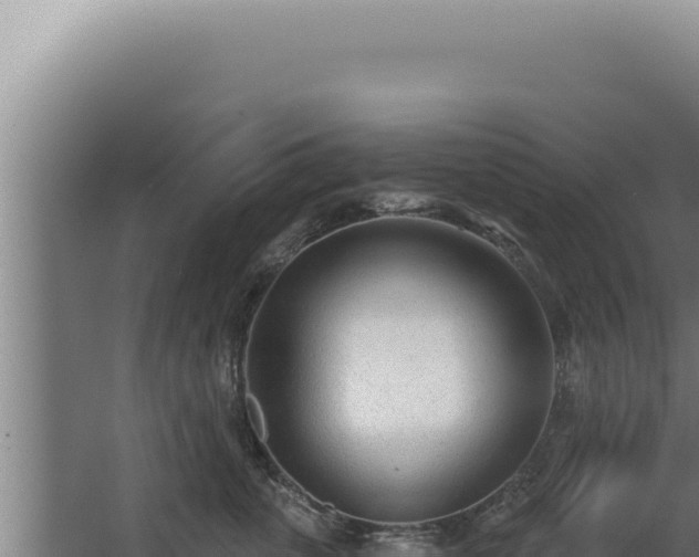 X0000068310763200604281735