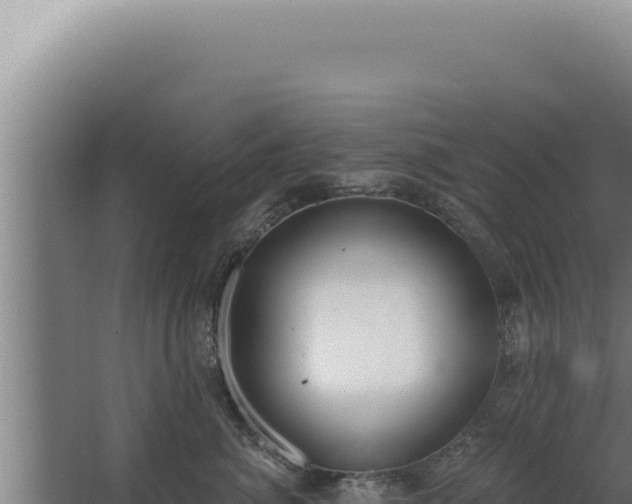 X0000068310764200604281735