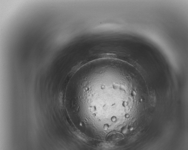 X0000068310765200604281735