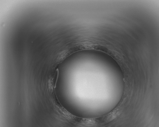 X0000068310768200604281735