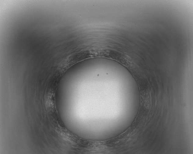 X0000068310770200604281734