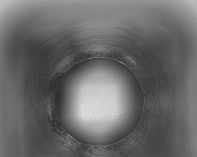 X0000068310774200604281734