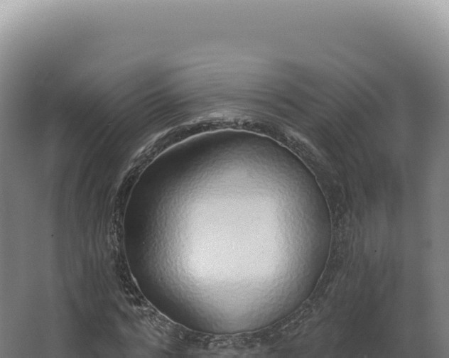 X0000068310776200604281734