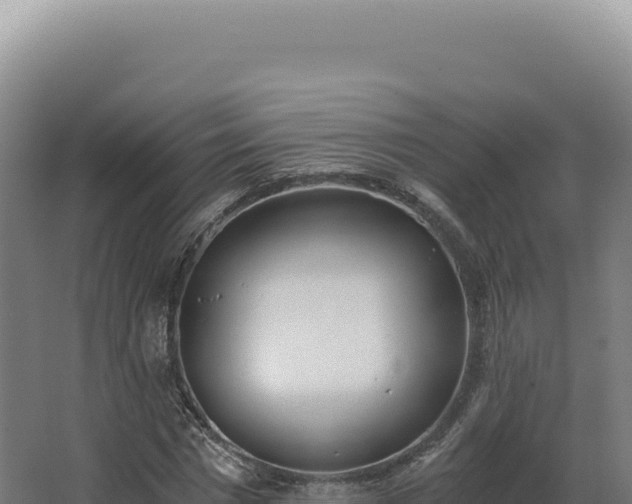 X0000068310777200604281734