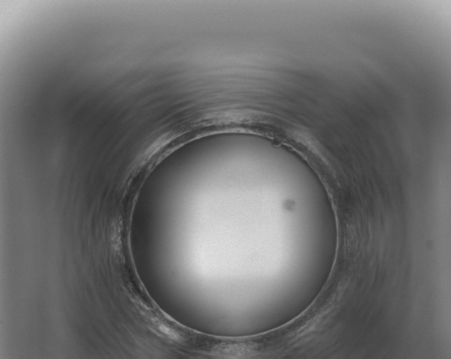 X0000068310778200604281734