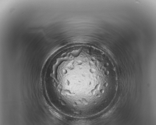 X0000068310779200604281734