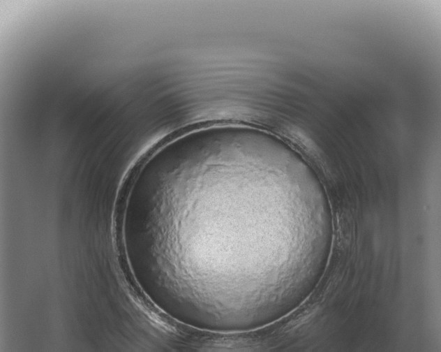 X0000068310780200604281734