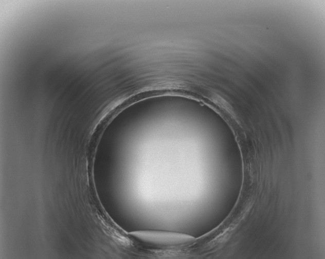 X0000068310781200604281734