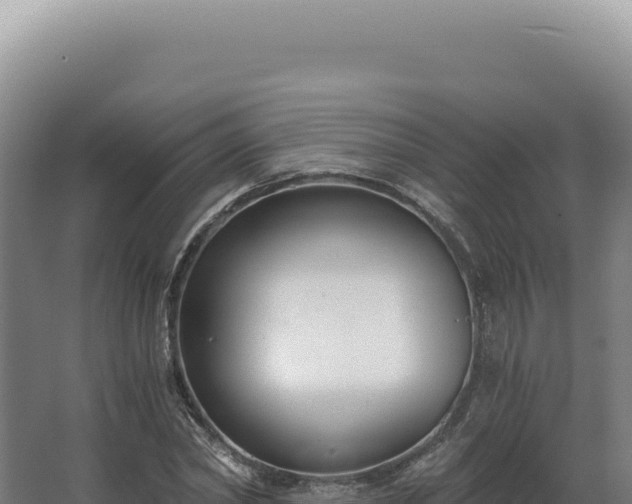 X0000068310782200604281734