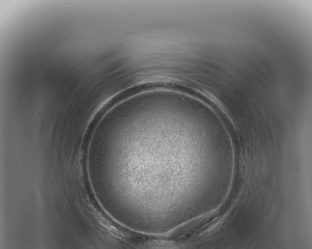 X0000068310783200604281734