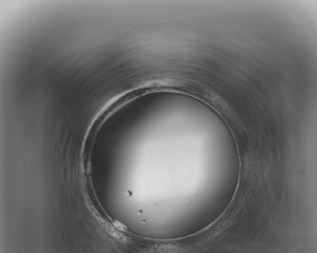 X0000068310784200604281734