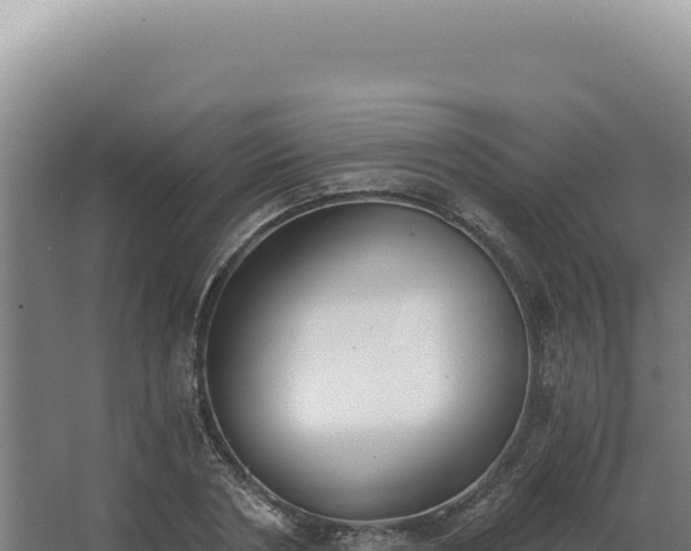 X0000068310786200604281734