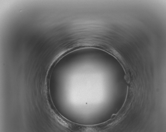 X0000068310787200604281734