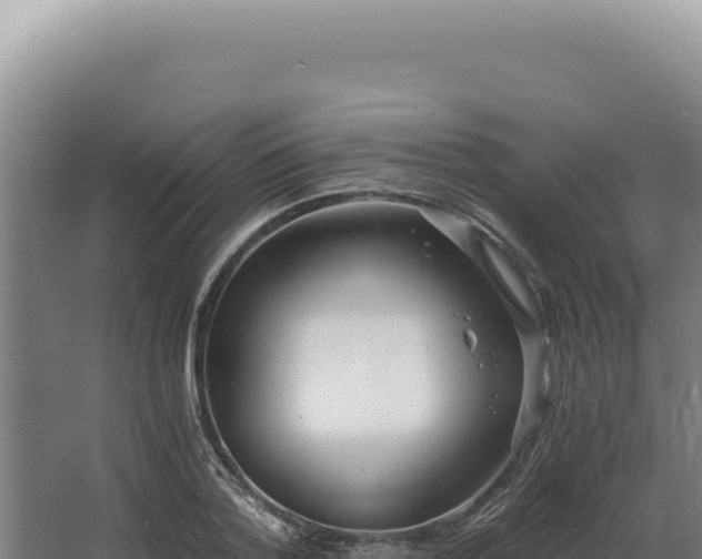 X0000068310788200604281734