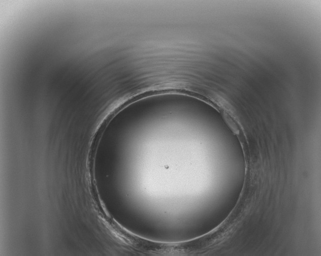 X0000068310789200604281734