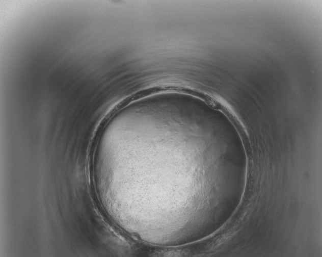 X0000068310791200604281734