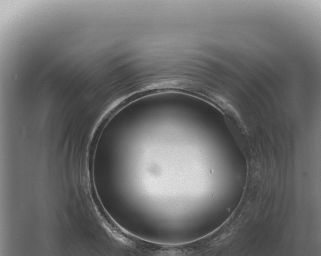 X0000068310792200604281734