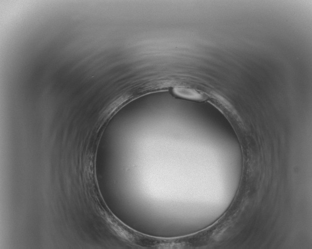 X0000068310793200604281734