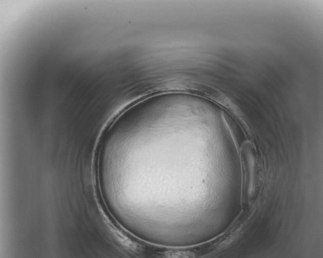 X0000068310795200604281734