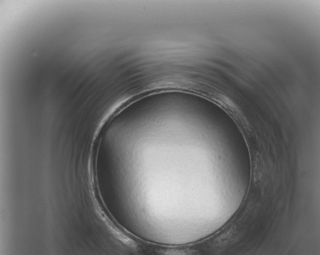 X0000068310796200604281734