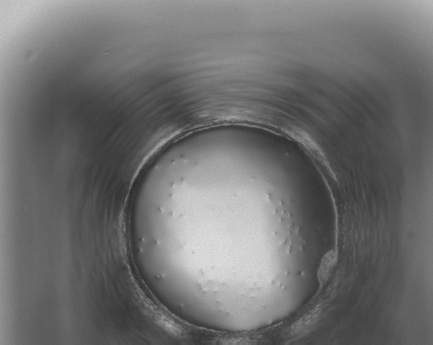 X0000068310798200604281734