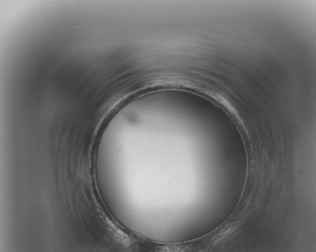 X0000068310799200604281734