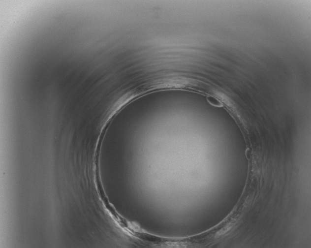 X0000068310802200604281734