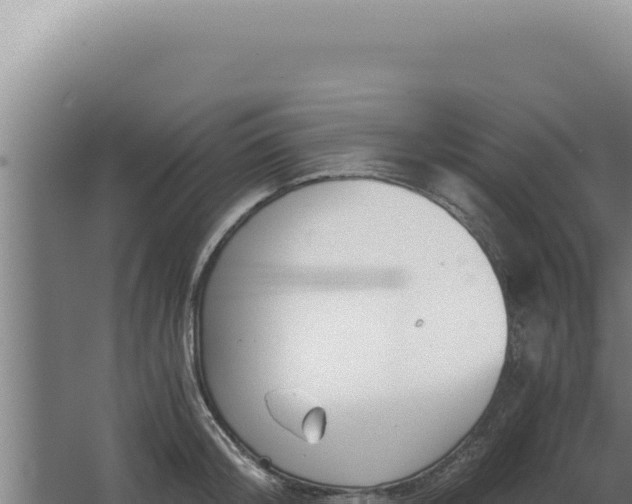 X0000068310804200604281734