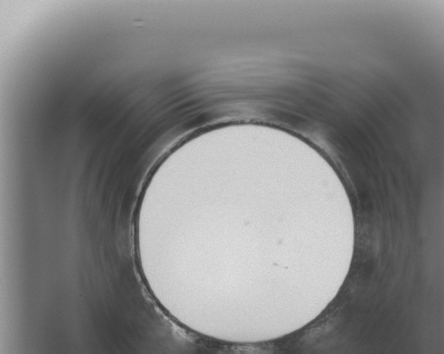 X0000068310807200604281734