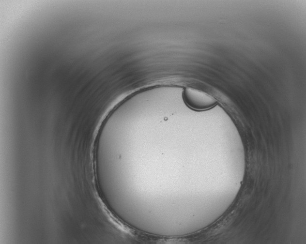 X0000068310808200604281734