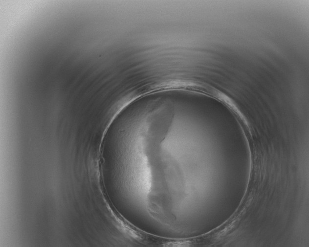 X0000068310810200604281734