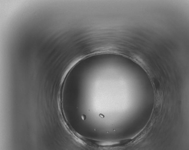 X0000068310812200604281734