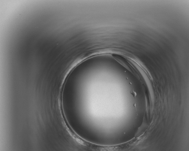 X0000068310813200604281734