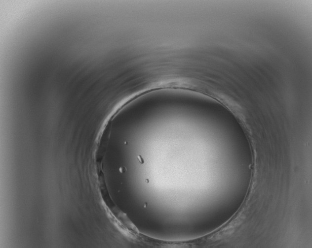 X0000068310816200604281734