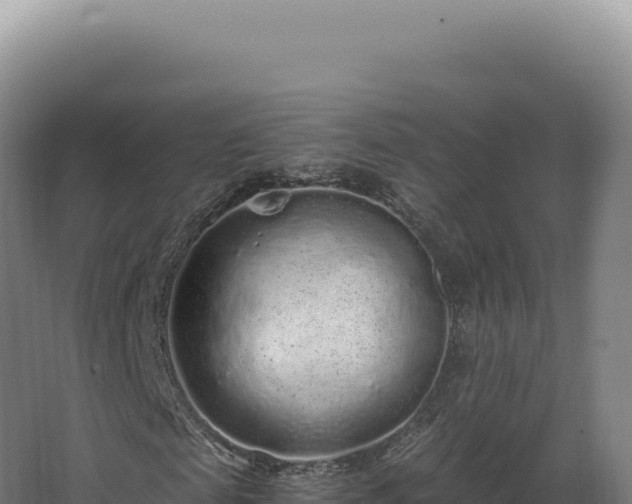 X0000068310817200604281733