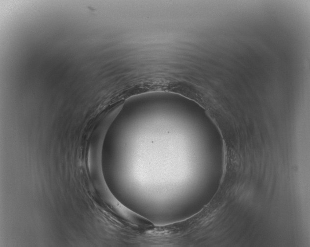 X0000068310818200604281733