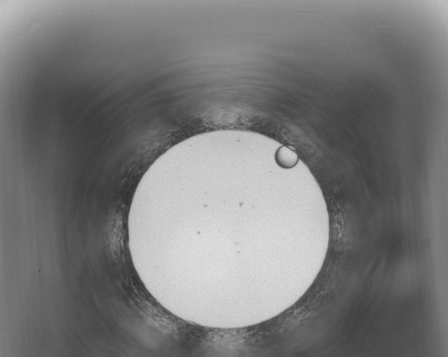 X0000068310820200604281733