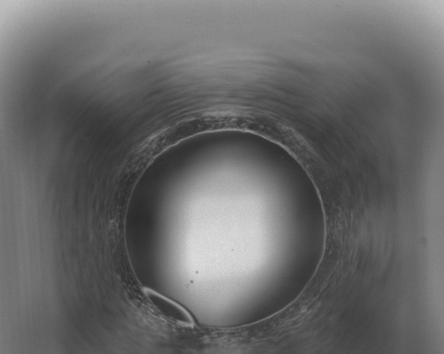 X0000068310821200604281733