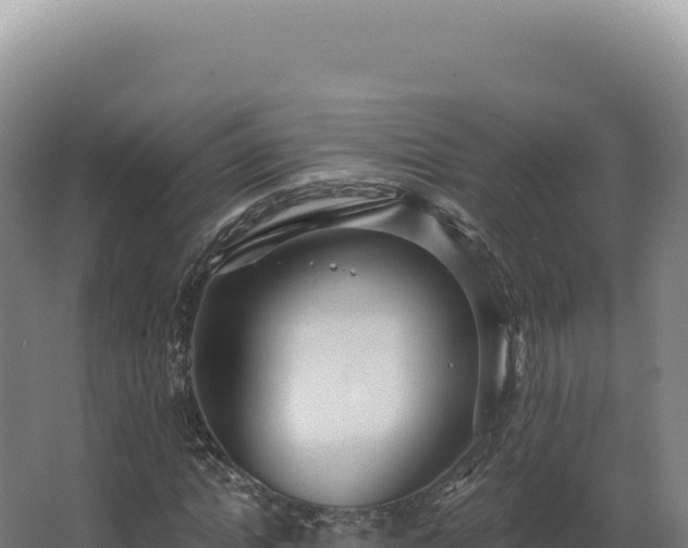 X0000068310822200604281733