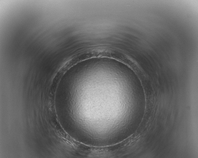 X0000068310823200604281733