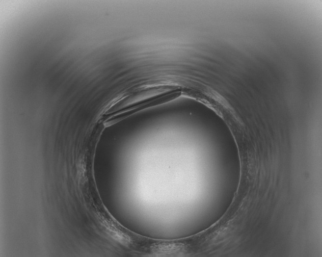 X0000068310826200604281733