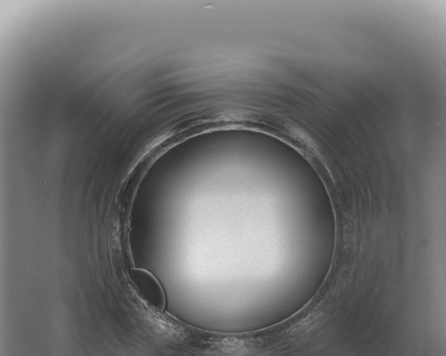 X0000068310827200604281733