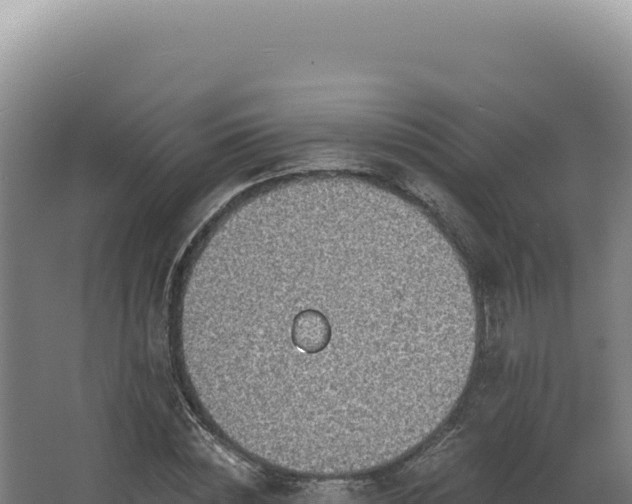 X0000068310828200604281733