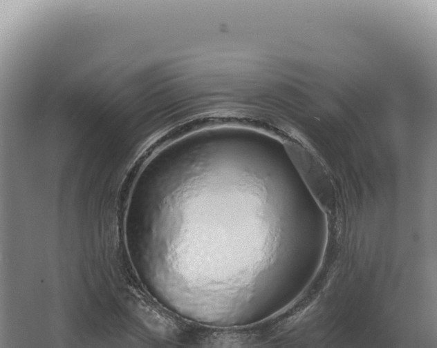 X0000068310829200604281733