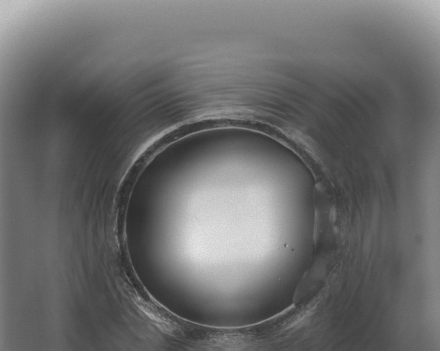 X0000068310830200604281733