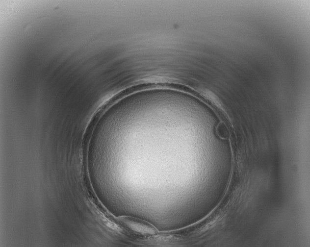 X0000068310831200604281733